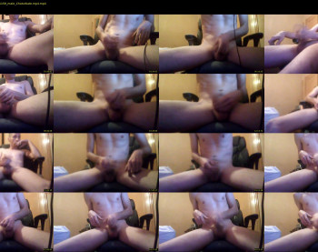 steezzee291