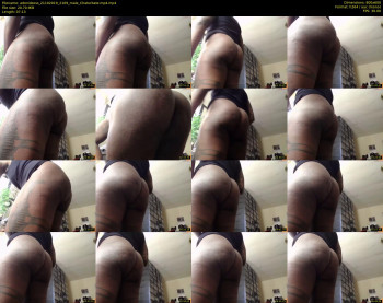 adonisboss
