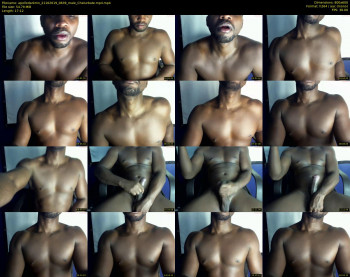 apollodarkmn
