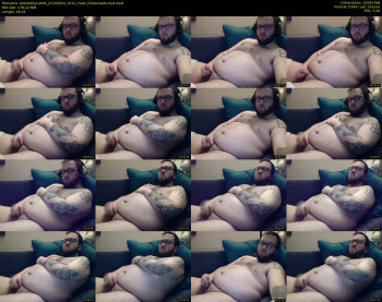 beerbellycub94