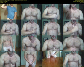 coltmusclebear