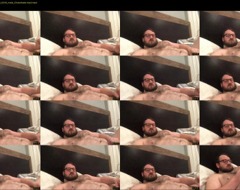 dadbulgelover