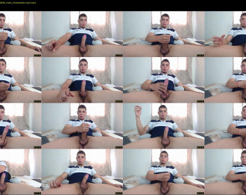 stephalverto