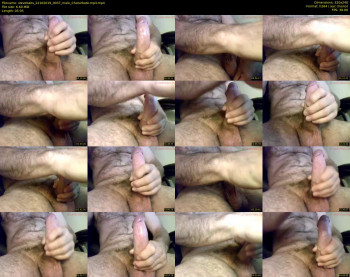 stevebabs
