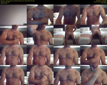 coltmusclebear