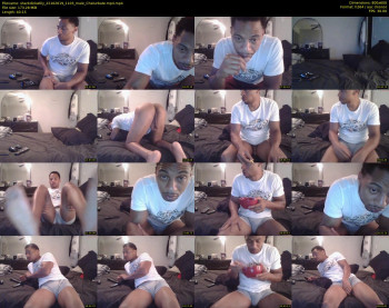 sharkdickwilly