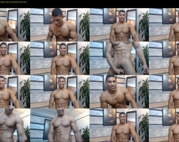 teddyfit19cm