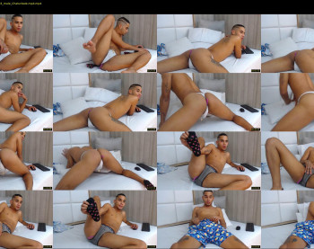 axel_fox1