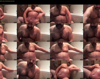 bearsteve75