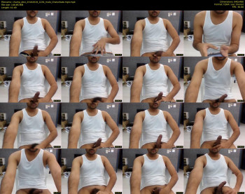 champ_desi