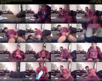 sharkdickwilly