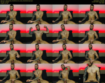 alphamatteo
