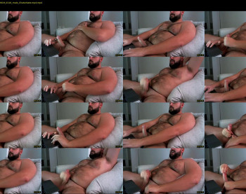 gainerbeardedcub