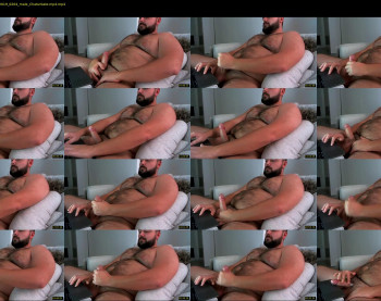 gainerbeardedcub