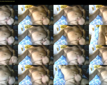 justbear81
