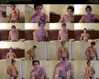 playboymateo