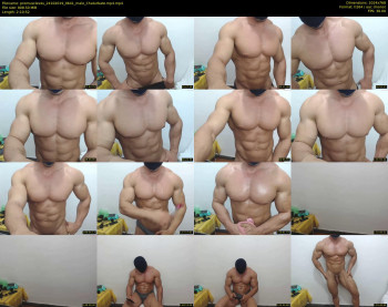promuscles4u