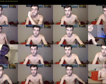 sexual_vibrations