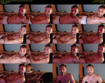 10in_stallion