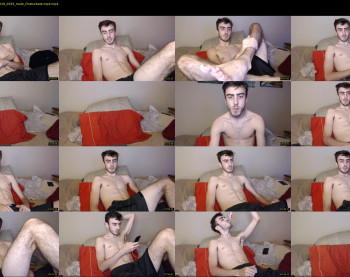 sexual_vibrations