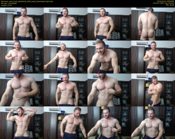 alvin_hunk