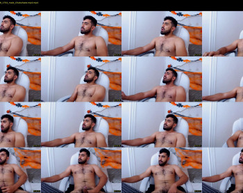 hornybull4ever