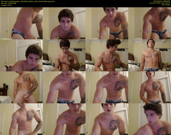 playboymateo