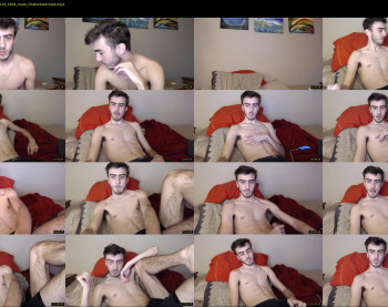 sexual_vibrations