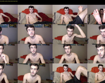 sexual_vibrations