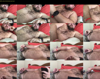 georgiacub9