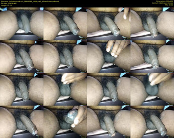 india8animal8rock