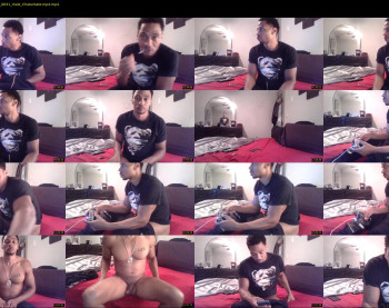 sharkdickwilly