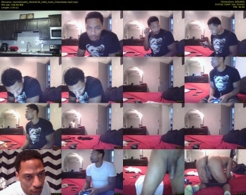 sharkdickwilly