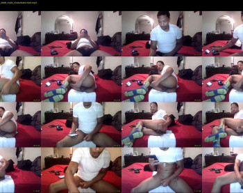 sharkdickwilly