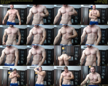 alvin_hunk