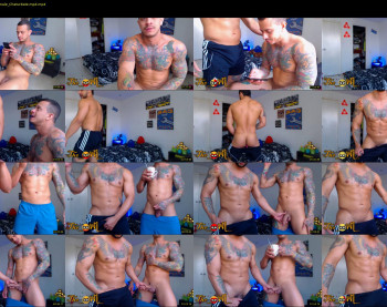 fit_owl