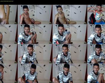 fox_dick