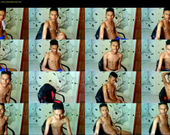 fox_dick