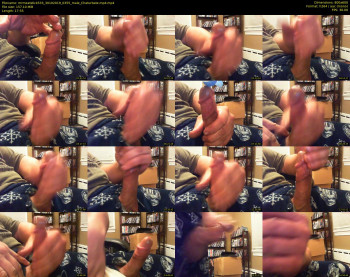 mrmeatstick533