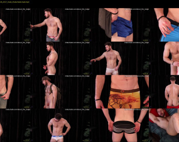 about_the_bulge