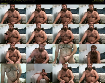 beardedcolossus