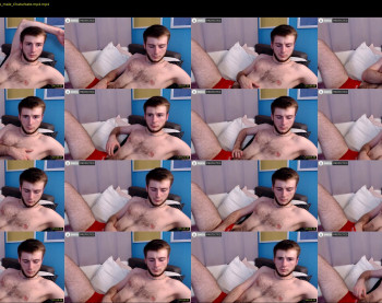 billy_lion