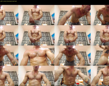 damiann_fox3