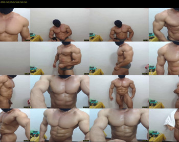 promuscles4u