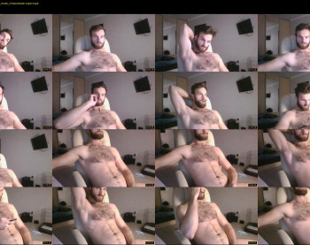 ur_bear