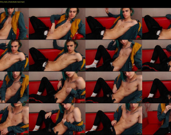 adam_main