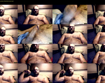 bearaffe