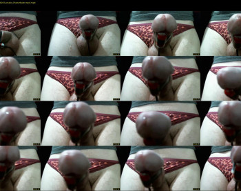 closetsissy21