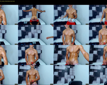 tony_wolf1