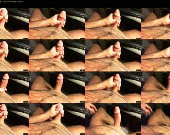 wvshaved8